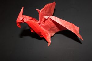 SASADE - RADON (104)