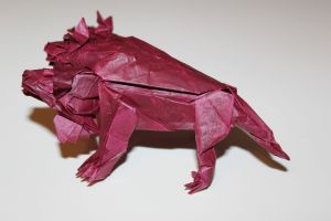 WOSK_214 - CERBERUS (6)