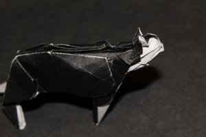 otm_095-cat-tanaka-1