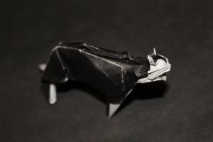 otm_095-cat-tanaka-3