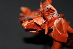 wosk_215-minotaur-112