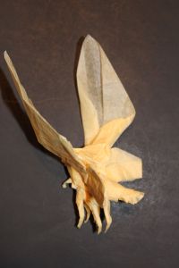 otmcp_020-butterfly-staro-4