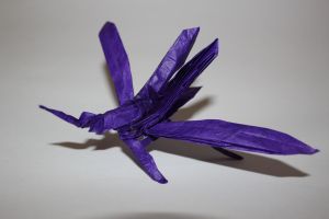 otmcp_026-mosquito-tsuda-2