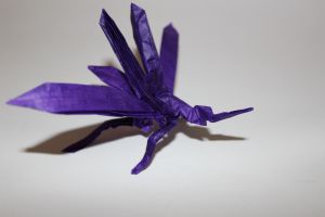 otmcp_026-mosquito-tsuda-4