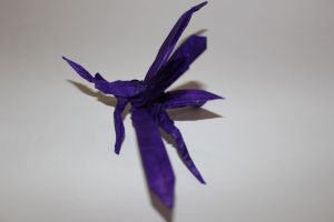 otmcp_026-mosquito-tsuda-7