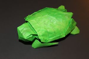 otmcp_027-loggerhead-sea-turtle-1