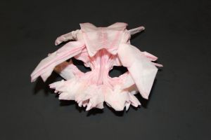 otmcp_028_01-crab-and-kid-meguro-102