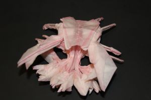 otmcp_028_01-crab-and-kid-meguro-103