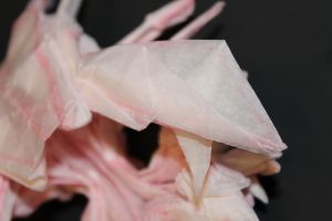 otmcp_028_01-crab-and-kid-meguro-107