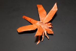 otmcp_028_03-dragonfly-1-1b-kamiya-101