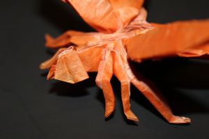 otmcp_028_03-dragonfly-1-1b-kamiya-104