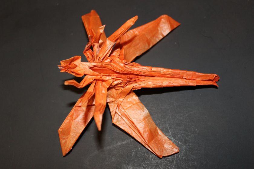 otmcp_028_03-dragonfly-1-1b-kamiya-105