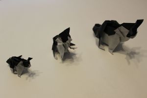 OTM_124 - CAT - KATSUTA (101)