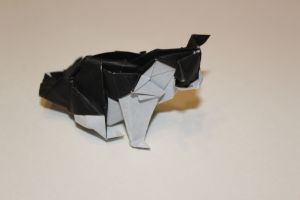 OTM_124 - CAT - KATSUTA (106)