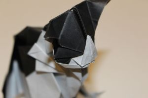 OTM_124 - CAT - KATSUTA (115)