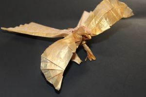 OTMCP_029 - LESSER BIRD OF PARADISE - KATSUTA (1)