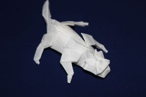 NISHIKAWA - TIGER (2)