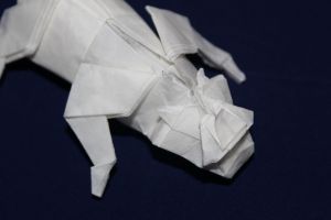 NISHIKAWA - TIGER (3)