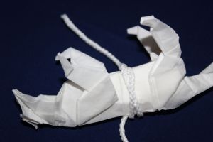 NISHIKAWA - TIGER (4)