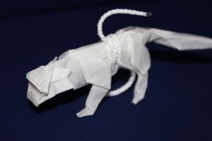 NISHIKAWA - TIGER (6)