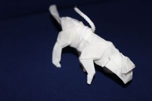 NISHIKAWA - TIGER (7)