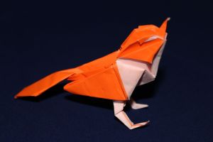 NISHIKAWA - WAGTAIL (1)