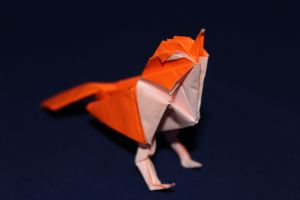 NISHIKAWA - WAGTAIL (3)