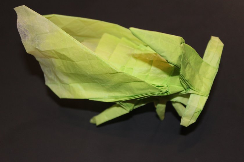 OTMCP_033 - TREEHOPPERS - TSUDA (101)