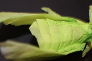 OTMCP_033 - TREEHOPPERS - TSUDA (107)