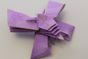 OTMCP_034 - TANAKA BUTTERFLY - TANAKA (2)