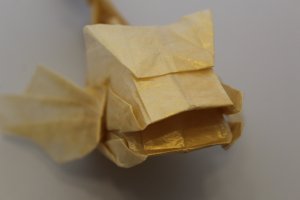 OTMCP_038 - SHACHIHOKO - KAWAHATA (6)