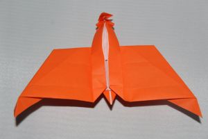 WKO_027_PTERANODON (105)