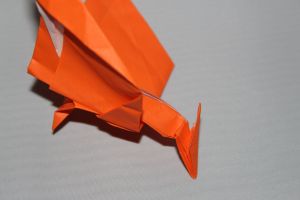 WKO_027_PTERANODON (107)