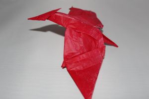 WKO_027_PTERANODON (111)