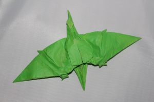 WKO_027_PTERANODON (114)