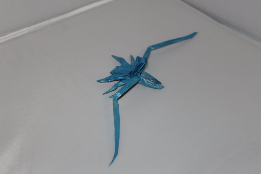 OTMCP_042 - WHIP SPIDER - KATSUTA (110)