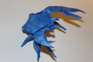 OTMCP_043 - FIDDLER CRAB - CHAN (101)