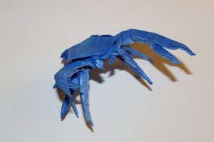 OTMCP_043 - FIDDLER CRAB - CHAN (102)