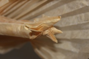 WKO_026_GIDORA (123)