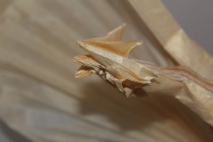 WKO_026_GIDORA (124)