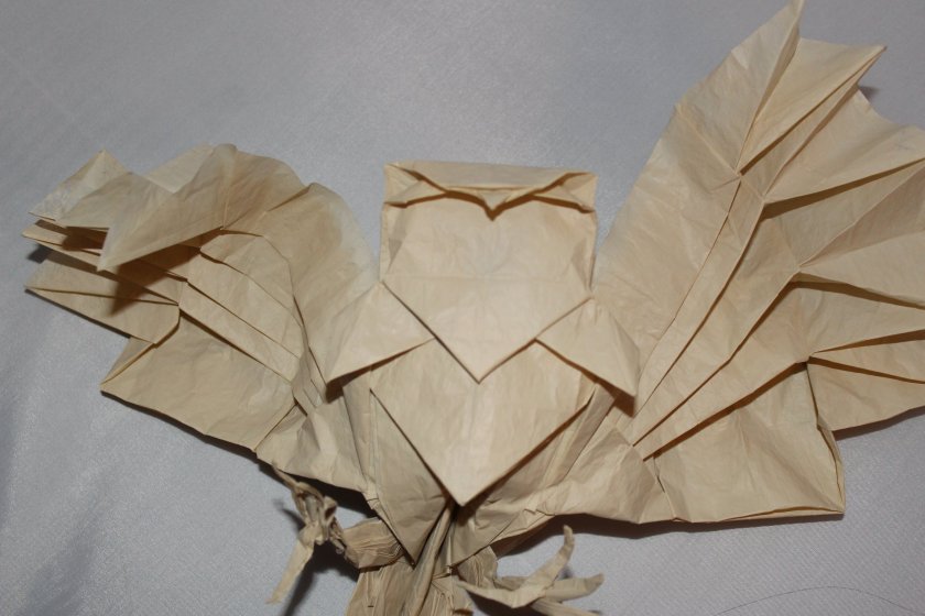 OTMCP_045 - OWL - KATSUTA (7)