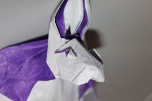 HENRIQUEZ - CONEJO DE ALICIA (5)