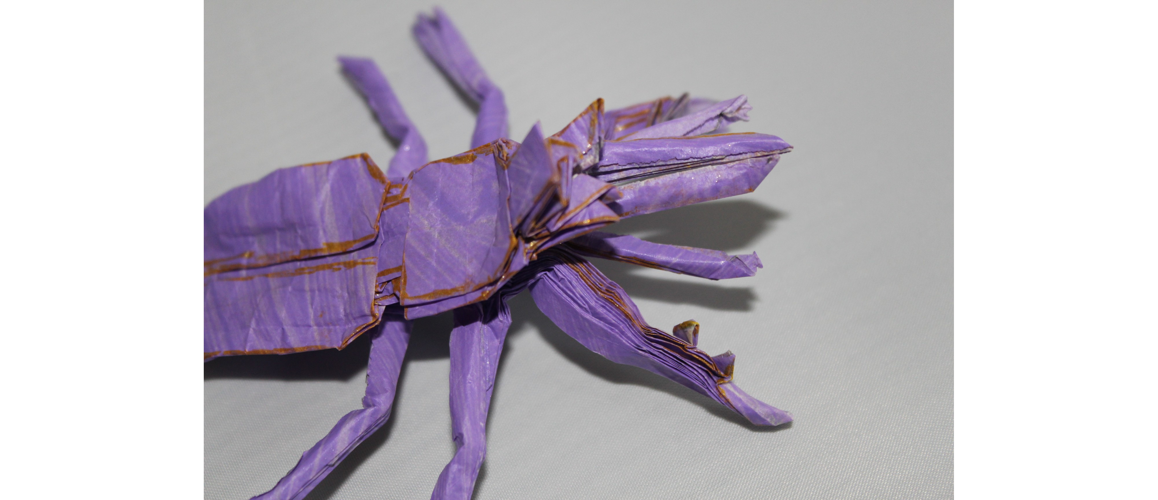 Origami Insects – Caged Scorpion Origami