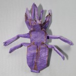 OTMCP_050 - PHALACROGNATHUS MUELLERI II - MABONA (icon)