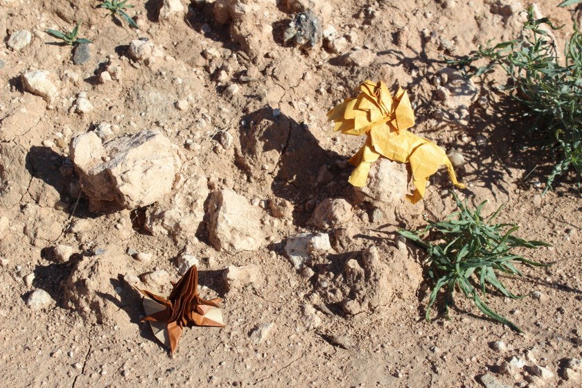 OTMCP_053 - LION - HORIGUCHI (119)