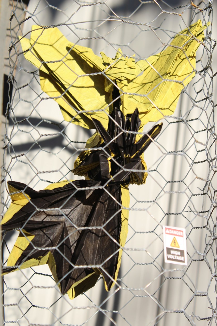 WKO_038 - ZAPDOS (124)