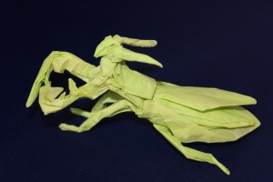 otmcp_057 - praying mantis - kamiya (110)