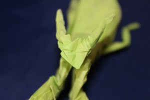 otmcp_057 - praying mantis - kamiya (111)