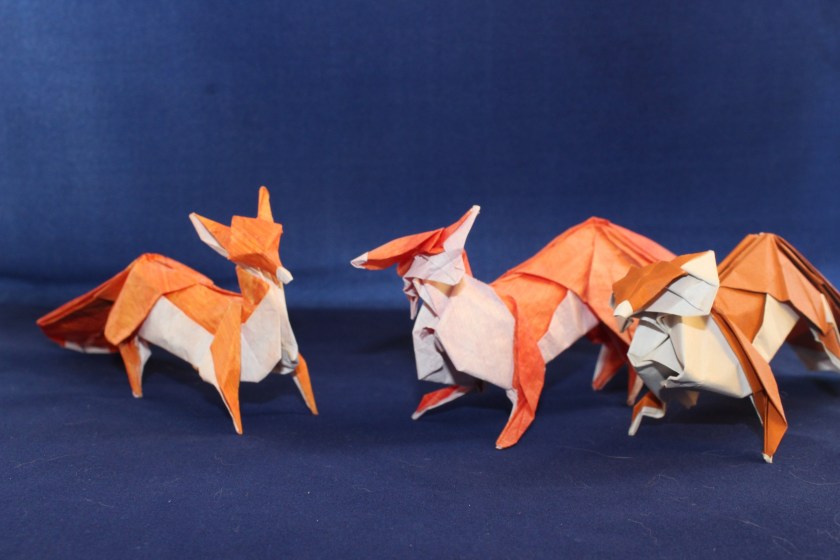 OTMCP_063 - FOX - QUYET (105)