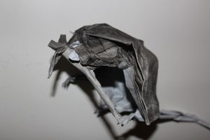 WKO_018 - DEATH OF RATS (104)